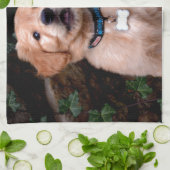 ゴールデンレトリバーパピー キッチンタオル (折り畳み)