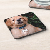 ゴールデンレトリバーパピー コースター (左側)