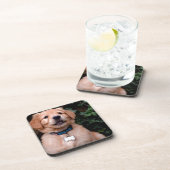 ゴールデンレトリバーパピー コースター (右側)