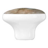 ゴールデンレトリバーパピー セラミックノブ (側面)