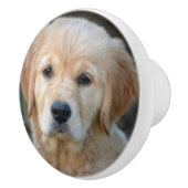 ゴールデンレトリバーパピー セラミックノブ (右)