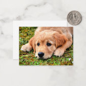 ゴールデンレトリバーパピー ノートカード (正面/裏面インサイチュ)