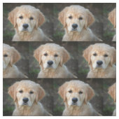 ゴールデンレトリバーパピー ファブリック (見本)
