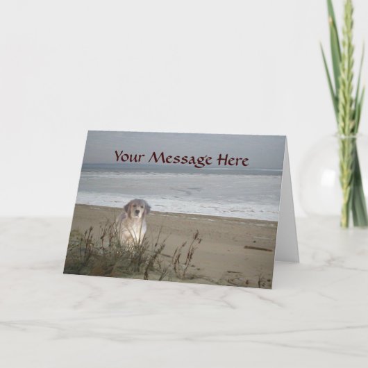 ゴールデンレトリバービーチグリーティングカード カード (正面)