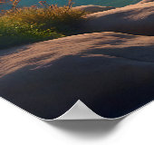 ゴールデンレトリバーファンタジーレインボーリバー ポスター (角)