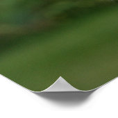 ゴールデンレトリバーヘッドショット2 ポスター (角)