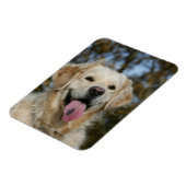 ゴールデンレトリバーヘッドショット3 マグネット (左側)