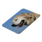 ゴールデンレトリバーヘッドショット4 マグネット (左側)