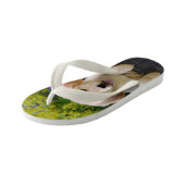 ゴールデンレトリバーベビー犬の子犬おもしろいの写真 – 子供 キッズビーチサンダル (アングル)