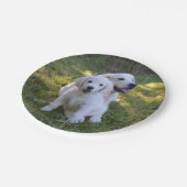 ゴールデンレトリバーママと子犬 ペーパープレート (アングル)