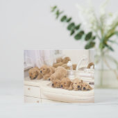 ゴールデンレトリバーモダンーは比較的高い ポストカード (スタンド正面)