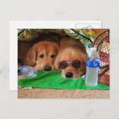 ゴールデンレトリバー屋内ピクニックポストカード ポストカード (正面/裏面)