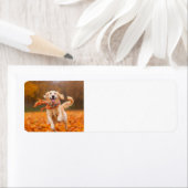 ゴールデンレトリバー差出人住所ラベル ラベル (インサイチュ)