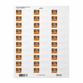 ゴールデンレトリバー差出人住所ラベル ラベル (フルシート)