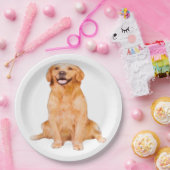 ゴールデンレトリバー座る ペーパープレート (パーティー)