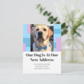 ゴールデンレトリバー引っ越しましたペットドッグフォトムービング 案内状 (スタンド正面)