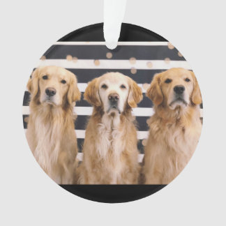 ゴールデンレトリバー愛 オーナメント