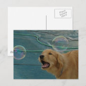 ゴールデンレトリバー愛 ポストカード (正面/裏面)