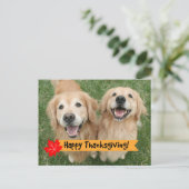 ゴールデンレトリバー感謝祭の日願い シーズンポストカード (スタンド正面)