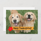 ゴールデンレトリバー感謝祭の日願い シーズンポストカード (正面/裏面)