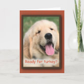 ゴールデンレトリバー感謝祭トルコのグリーティングカード シーズンカード (正面)