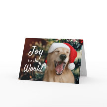 ゴールデンレトリバー犬の喜びへ世界のクリスマス