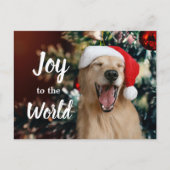 ゴールデンレトリバー犬の喜びへ世界のクリスマス シーズンポストカード (正面)