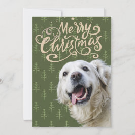 ゴールデンレトリバー犬の笑顔 メリークリスマス シーズンカード