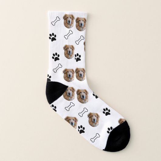 ゴールデンレトリバー犬ソックス ソックス (左内側)