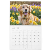 ゴールデンレトリバー犬種の壁掛け カレンダー (3月 2027)