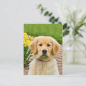 ゴールデンレトリバー犬、黄色の水仙はがき ポストカード (スタンド正面)