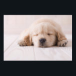 ゴールデンレトリバー眠り ポスター<br><div class="desc">床に眠るゴールデンレトリバー</div>