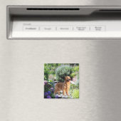 ゴールデンレトリバー磁石 マグネット (インサイチュ (食洗機))