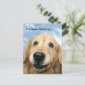 ゴールデンレトリバー私は考え行った ポストカード (スタンド正面)