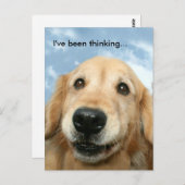 ゴールデンレトリバー私は考え行った ポストカード (正面/裏面)