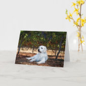 ゴールデンレトリバー空白のグリーティングカード カード (黄色い花)