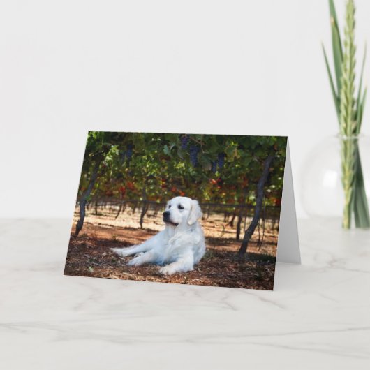 ゴールデンレトリバー空白のグリーティングカード カード (正面)