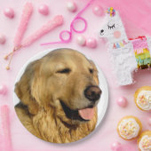 ゴールデンレトリバー紙プレート ペーパープレート (パーティー)