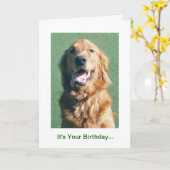 ゴールデンレトリバー誕生日カードゴールデンイヤーズ カード (黄色い花)