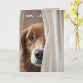 ゴールデンレトリバー誕生日ユーモア カード (黄色い花)