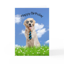 ゴールデンレトリバー誕生日