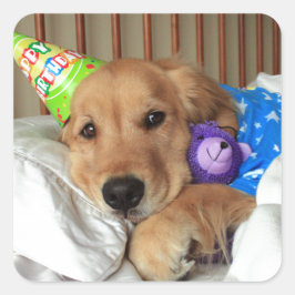 ゴールデンレトリバー誕生日 スクエアシール