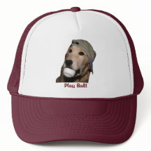 ゴールデンレトリバー野球パピー