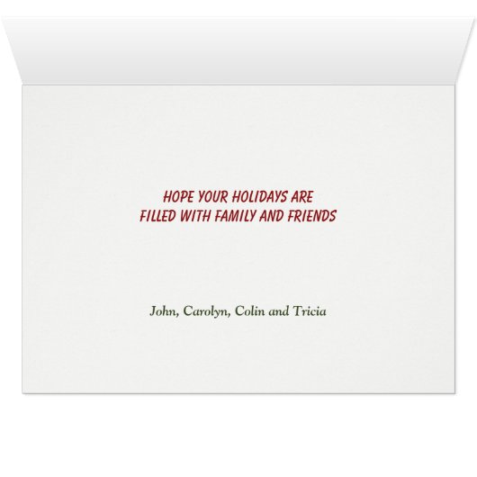 ゴールデンレトリバー雪だるまフレンドクリスマス (内部横(下))