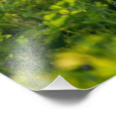 ゴールデンレトリバー高品質フォトプリント フォトプリント            (角)