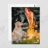 ゴールデンレトリバー11ミッドイブ ポストカード (正面/裏面)