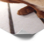 ゴールデンレトリバー2 ポスター (角)