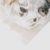 ゴールデンレトリバー7 薄葉紙 (詳細)