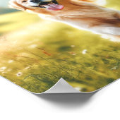 ゴールデンレトリバー – とても幸せ ポスター (角)