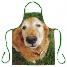 ゴールデンレトリバー